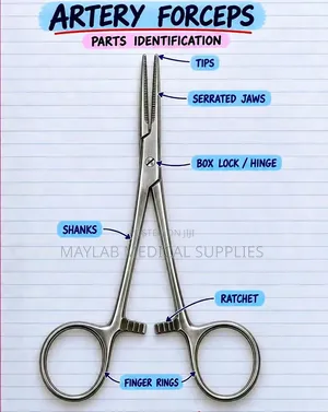 Artery Forceps – Stainless Steel Hemostatic Surgical Forceps