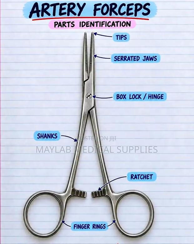 Artery Forceps – Stainless Steel Hemostatic Surgical Forceps