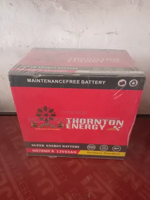 Car Battery NS 70