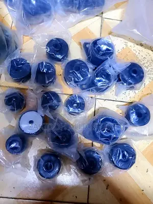 Body Bushes