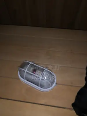 Sauna Lamp