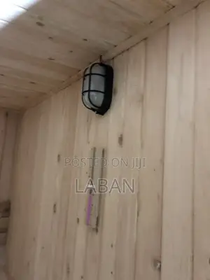 Sauna Lamp