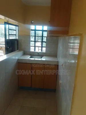 1bdrm Apartment in Patrick Mburu, Ruaka for rent