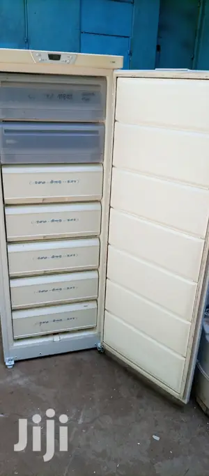 Upright Freezer