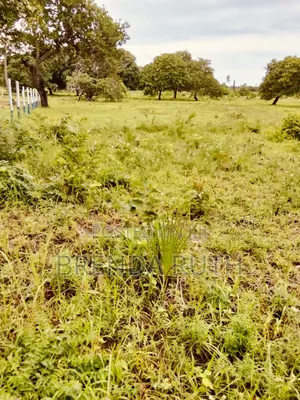 Land for Sale in Diani