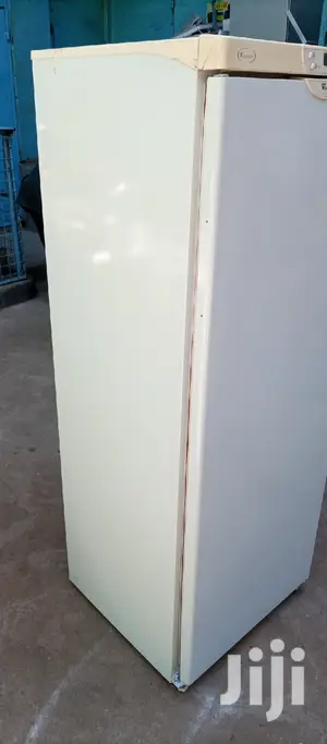 Upright Freezer