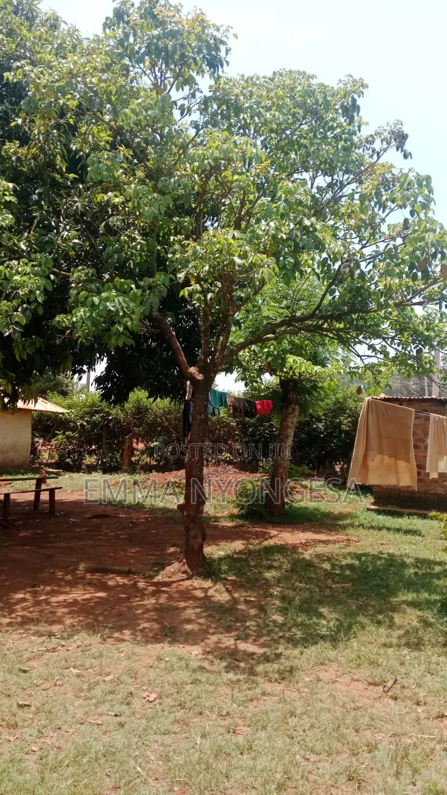 0.08 Ha Prime Land for Sale in Busia With Ready TITLE DEED