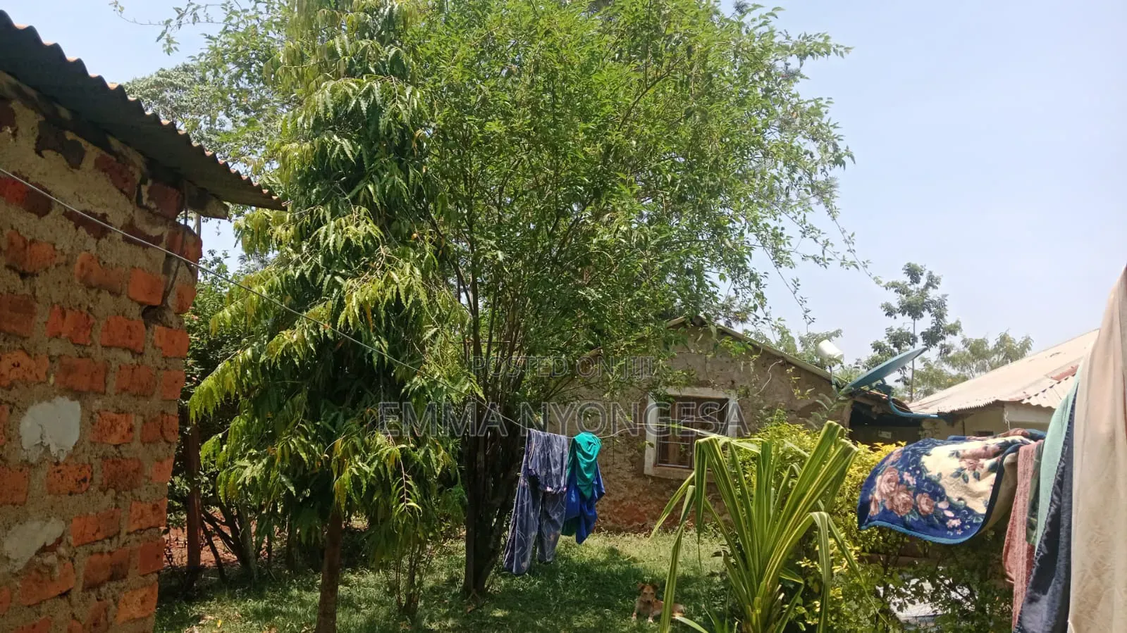 0.08 Ha Prime Land for Sale in Busia With Ready TITLE DEED