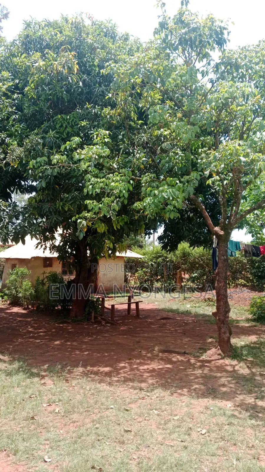 0.08 Ha Prime Land for Sale in Busia With Ready TITLE DEED