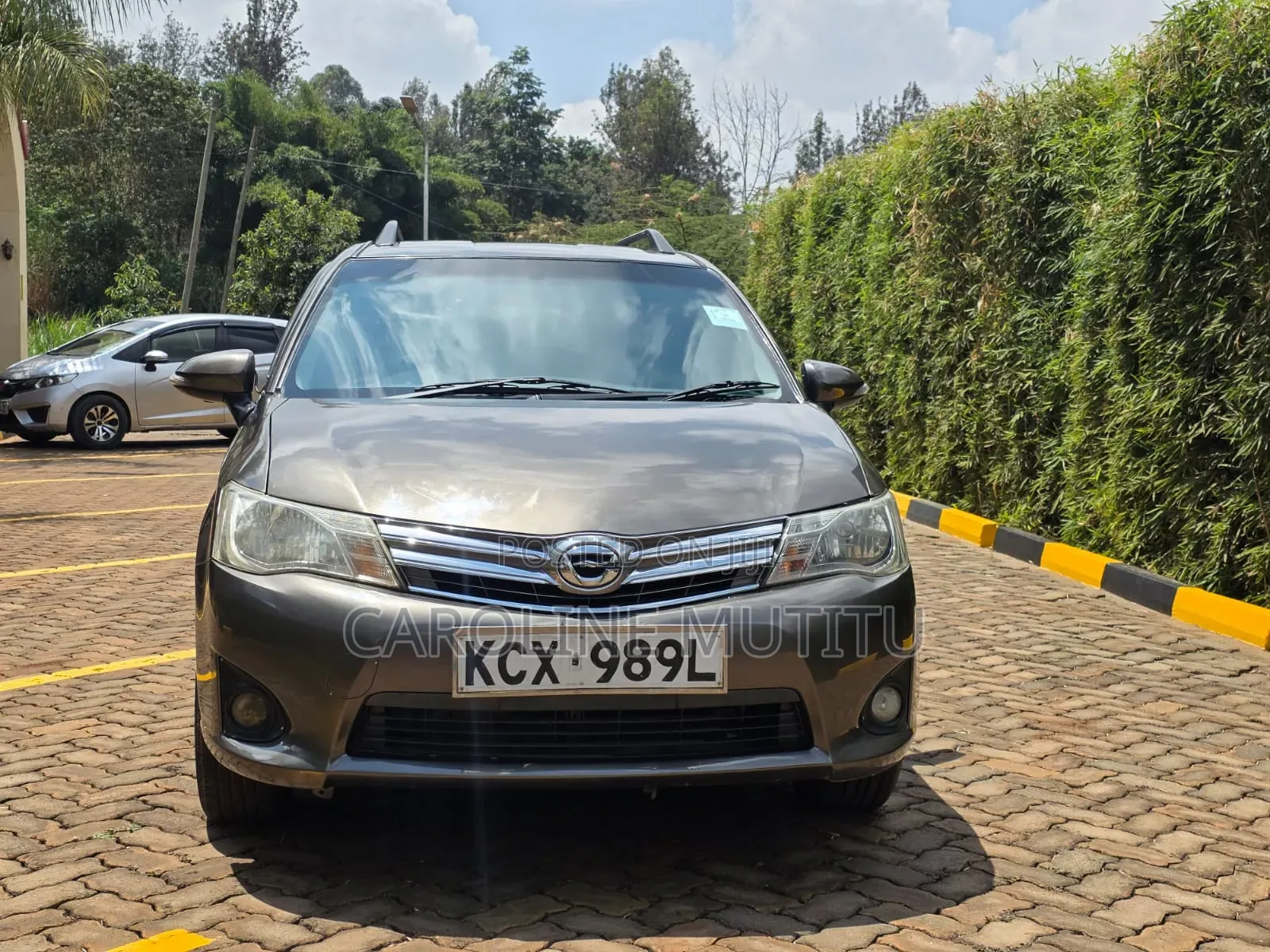 Toyota Corolla Fielder 2012 Brown