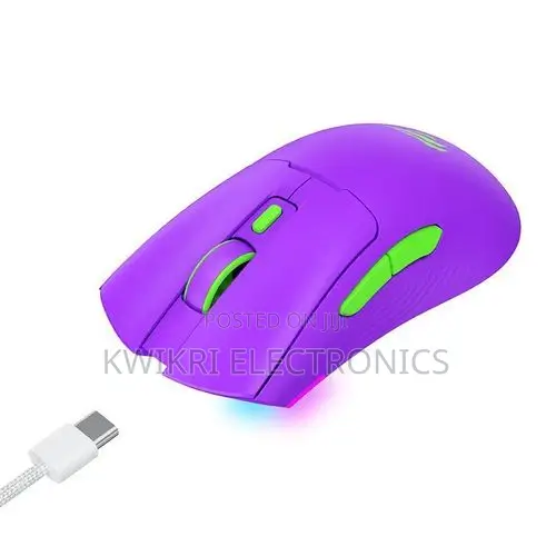 Havit MS966WB Quad-Mode Gaming Mouse(Rechargeable)