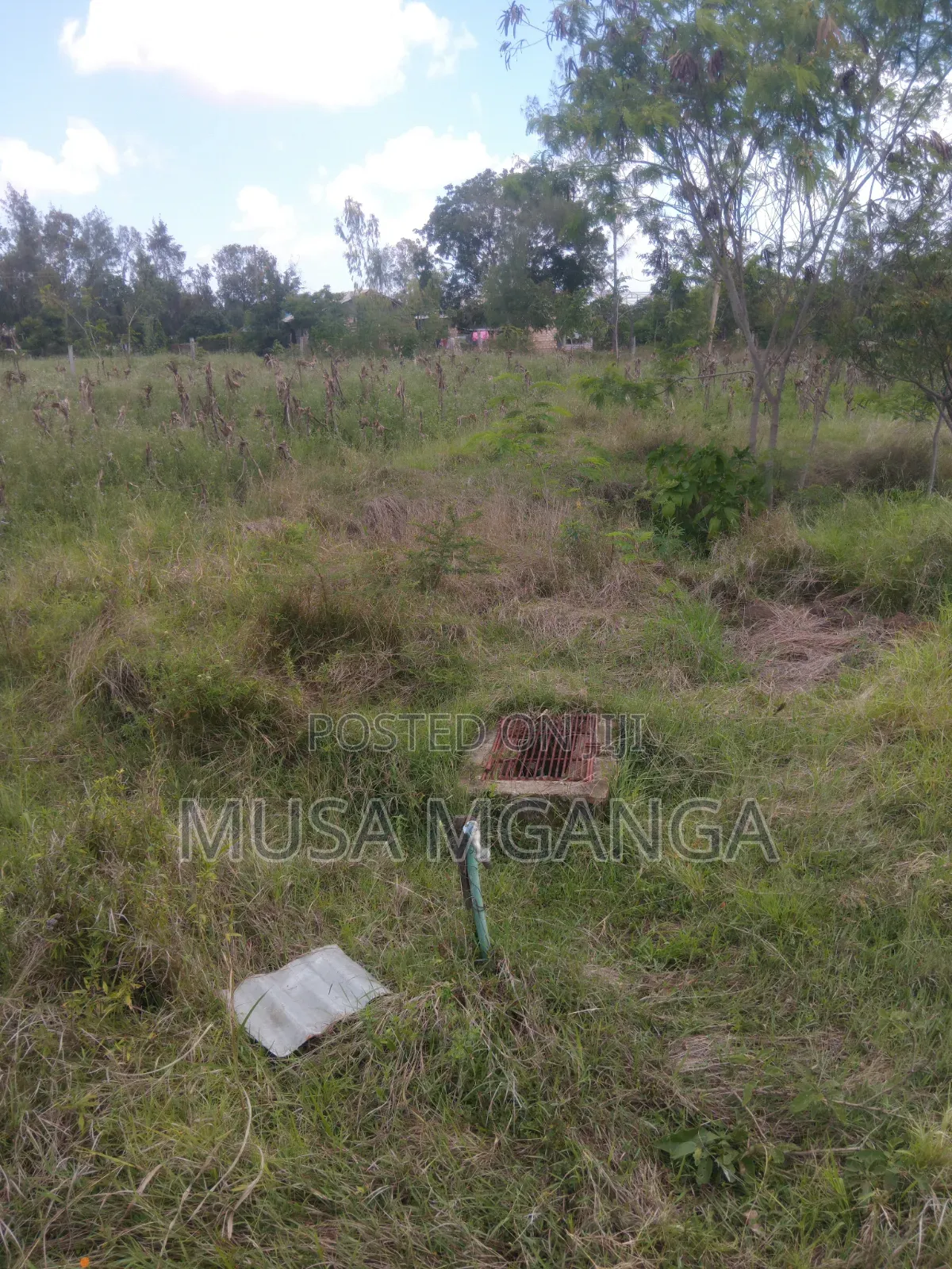 1/4 Acre Farming, Residential or Commercialland on Sale