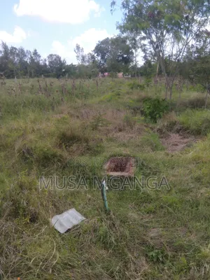 1/4 Acre Farming, Residential or Commercialland on Sale