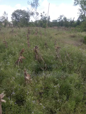 1/4 Acre Farming, Residential or Commercialland on Sale