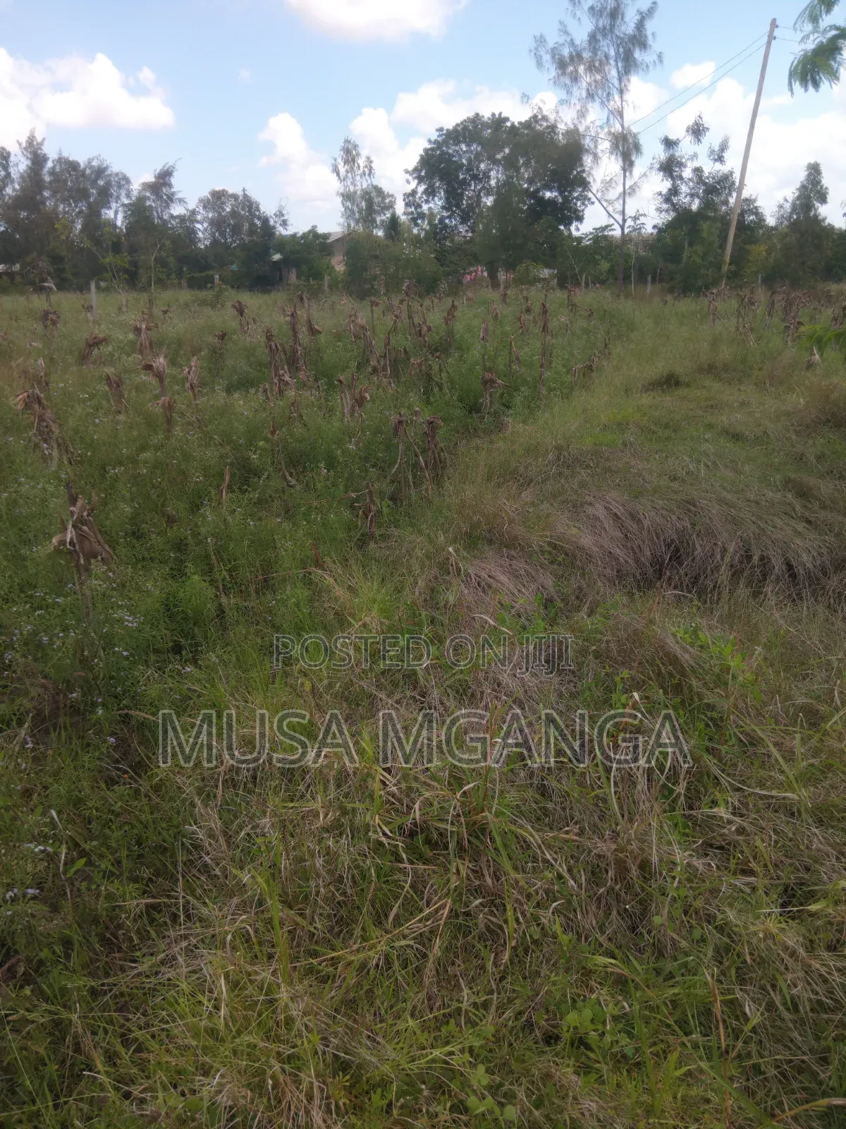 1/4 Acre Farming, Residential or Commercialland on Sale