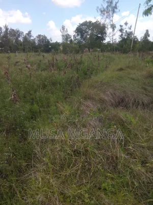1/4 Acre Farming, Residential or Commercialland on Sale