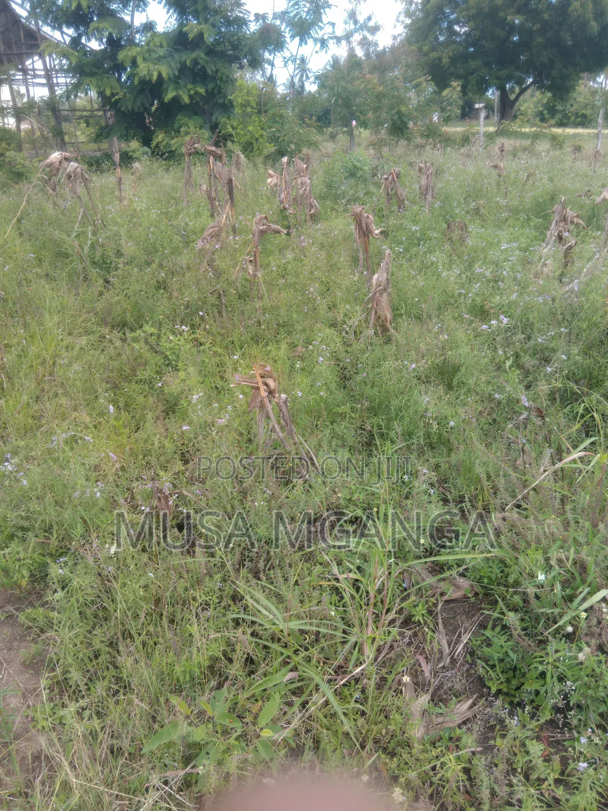 1/4 Acre Farming, Residential or Commercialland on Sale