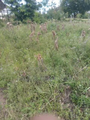 1/4 Acre Farming, Residential or Commercialland on Sale