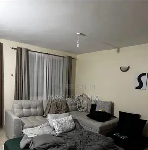 Grey Sofaset