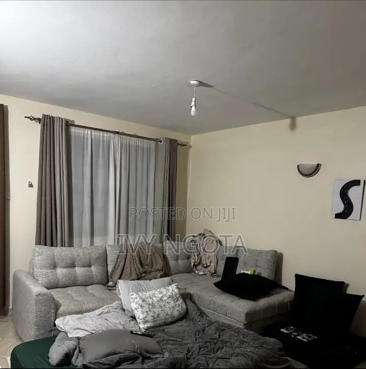 Grey Sofaset