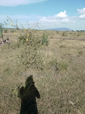 Quick Sale: 1/4 Acre Land Juja Sunrise Estate