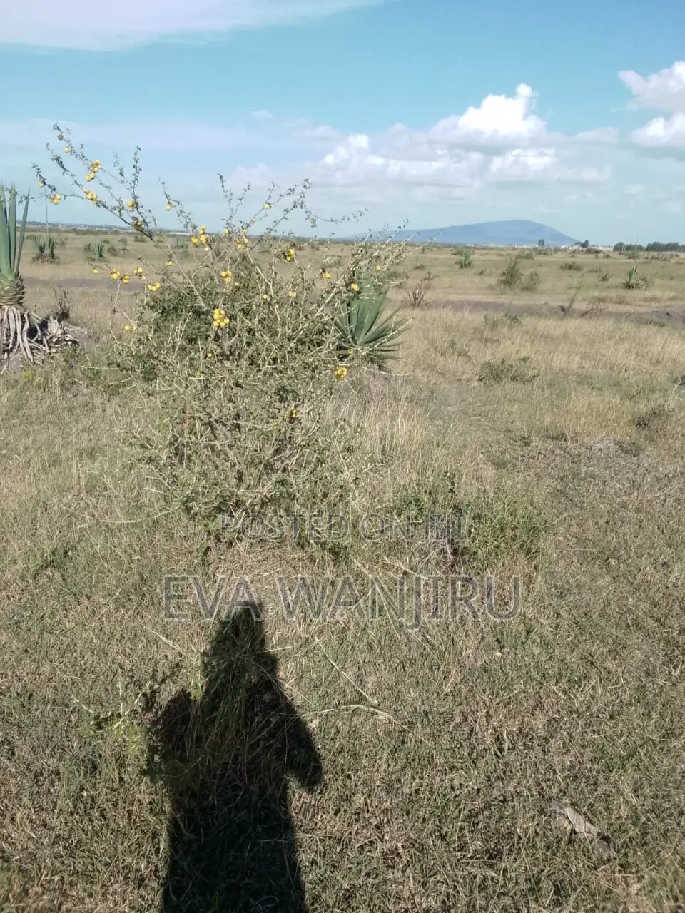 Quick Sale: 1/4 Acre Land Juja Sunrise Estate