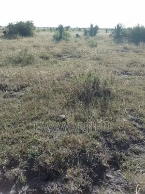 Quick Sale: 1/4 Acre Land Juja Sunrise Estate