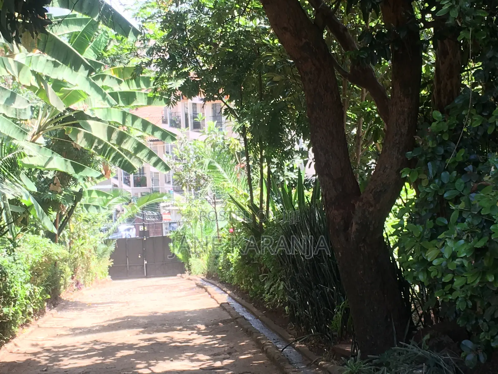 1/2 Acre Lavington 230M Suitable for Highrise