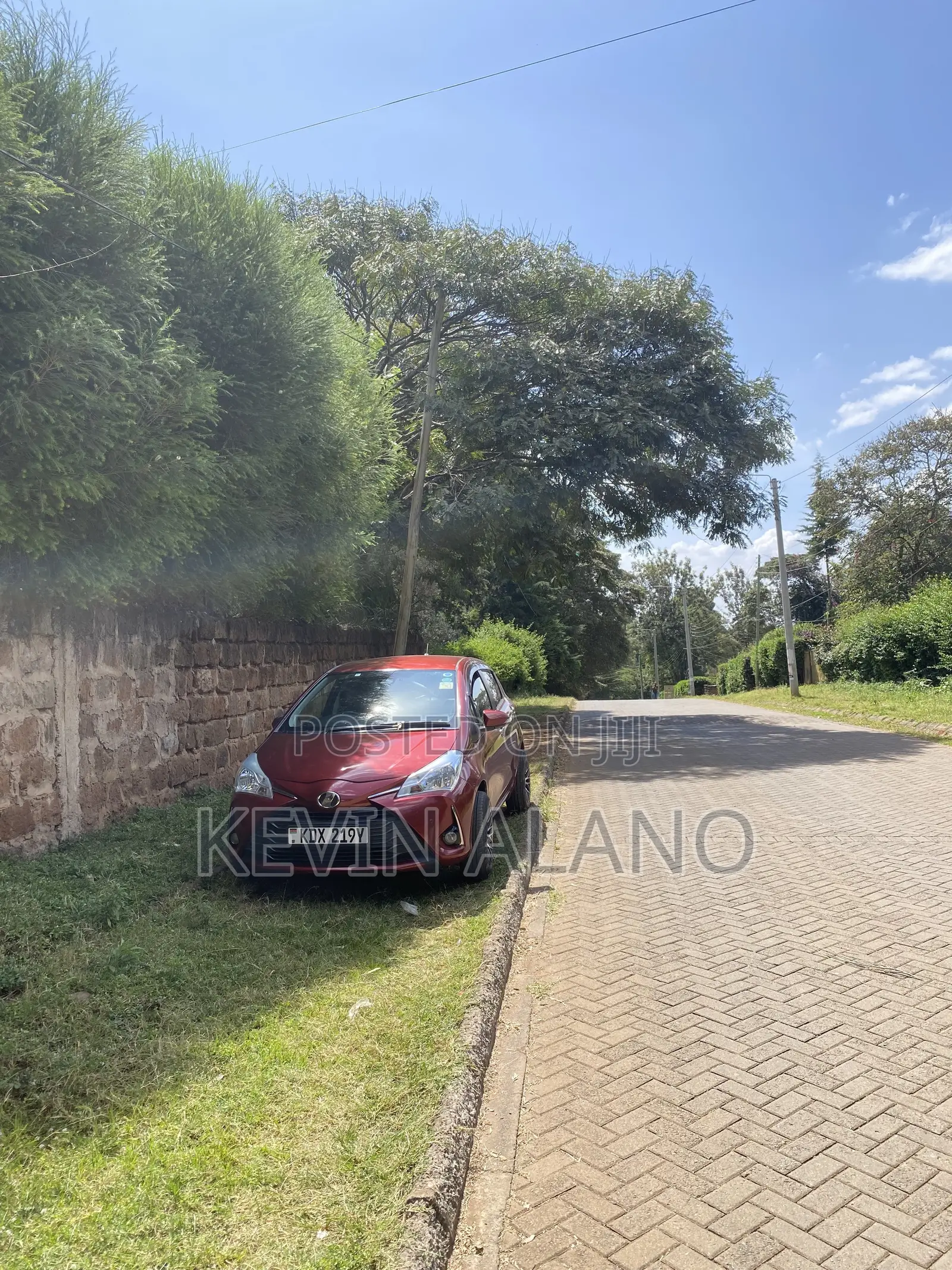 Vitz 2019 for Rental