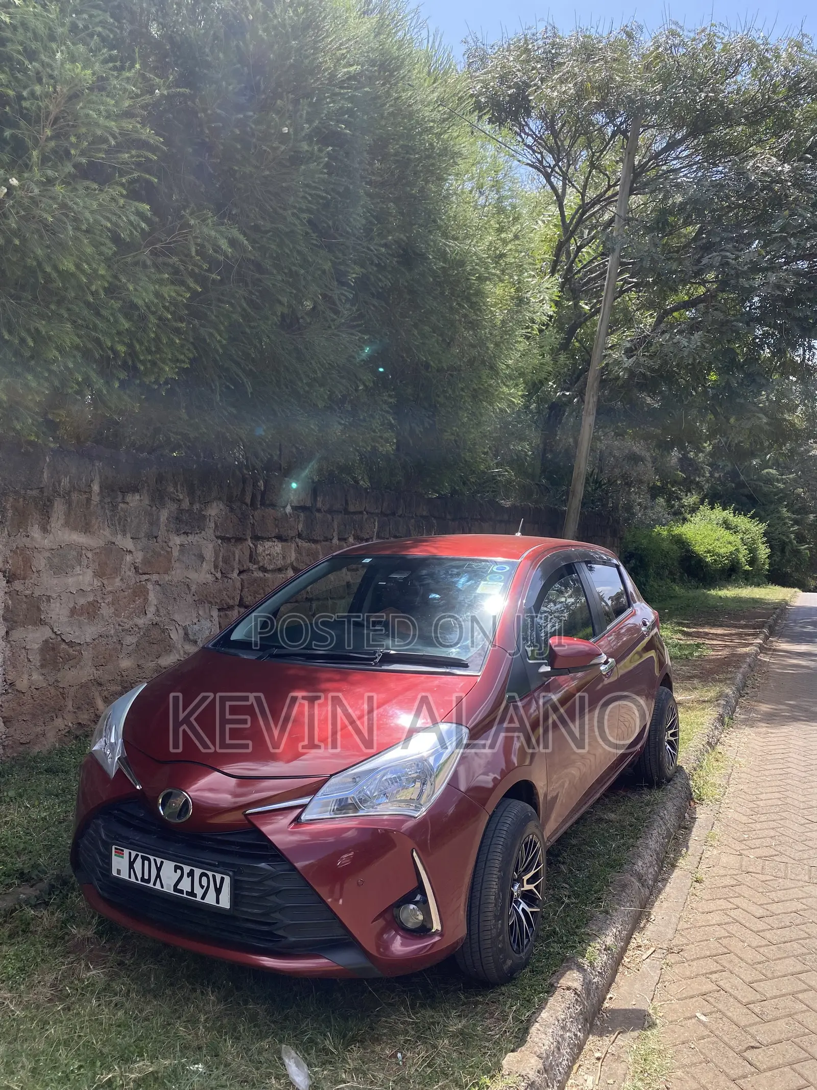 Vitz 2019 for Rental