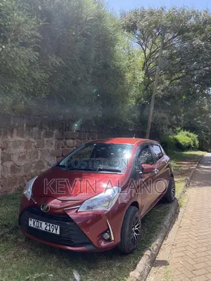Vitz 2019 for Rental