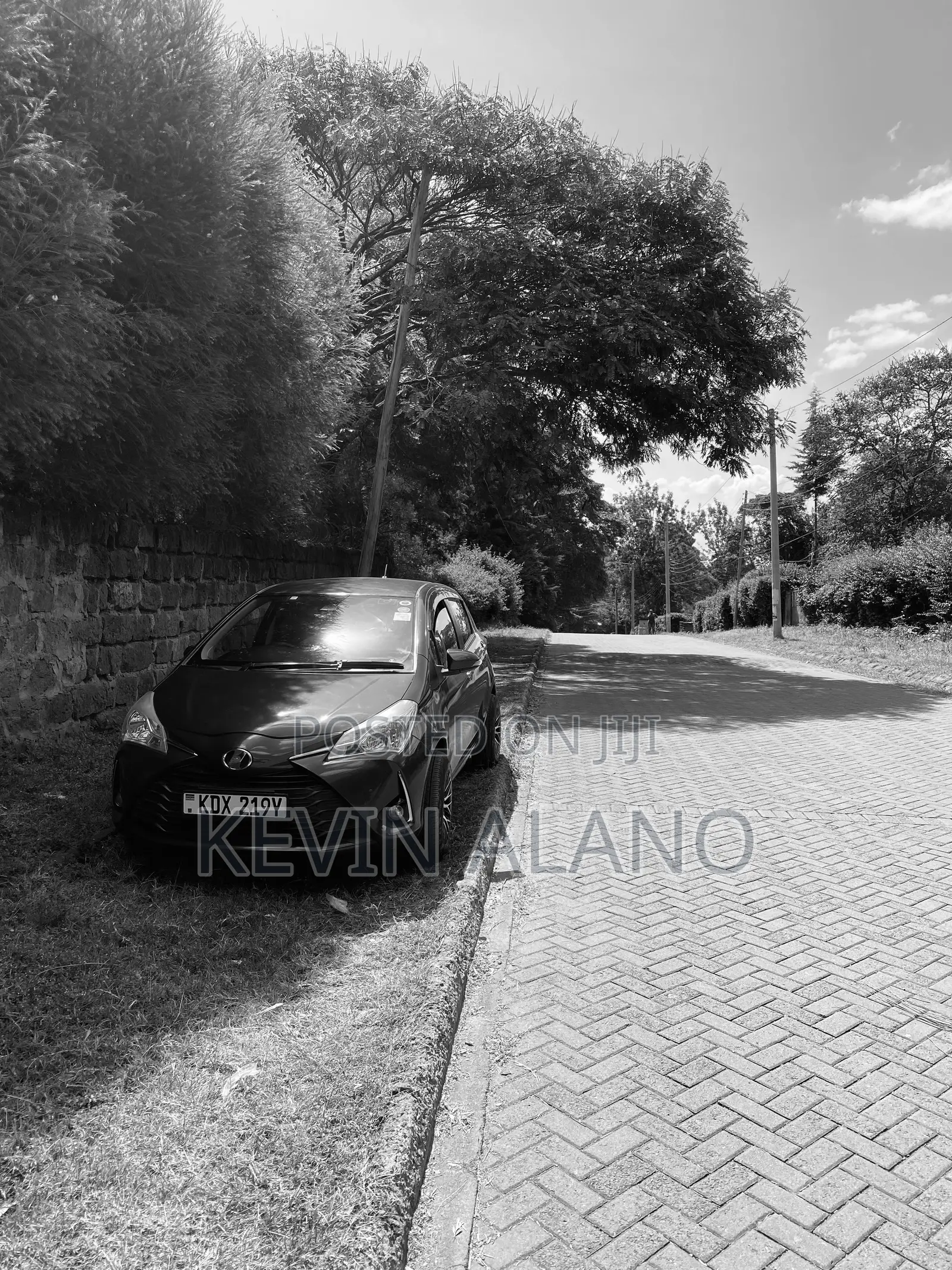 Vitz 2019 for Rental