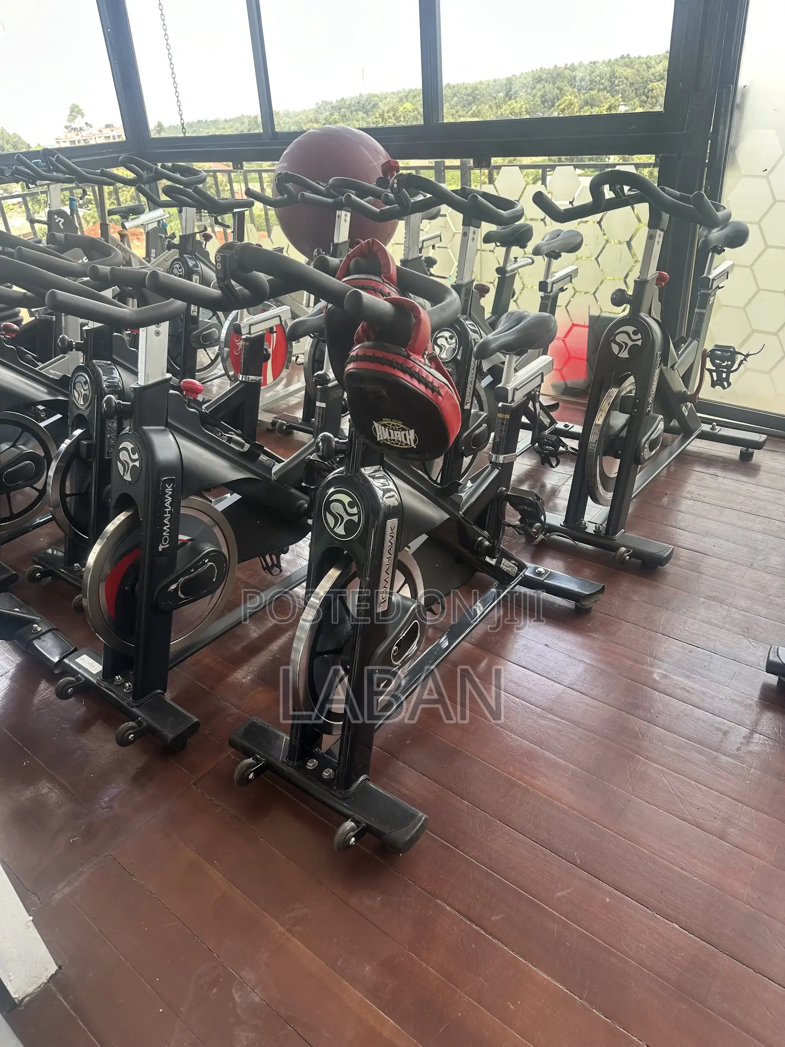Spin Bikes