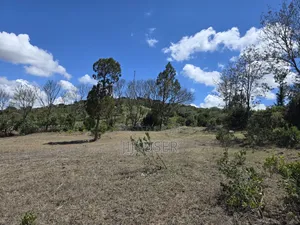 Prime 1-Acre for Sale in Mweiga