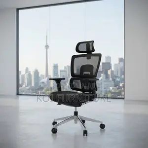 Office Chairs; Orthopedic Executive Mesh Fully Fabrc Chairs