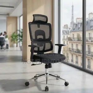 Office Chairs; Orthopedic Executive Mesh Fully Fabrc Chairs