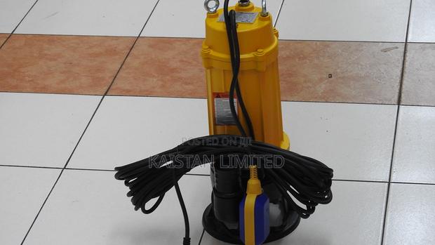 2 HP Sewage Pump - main view