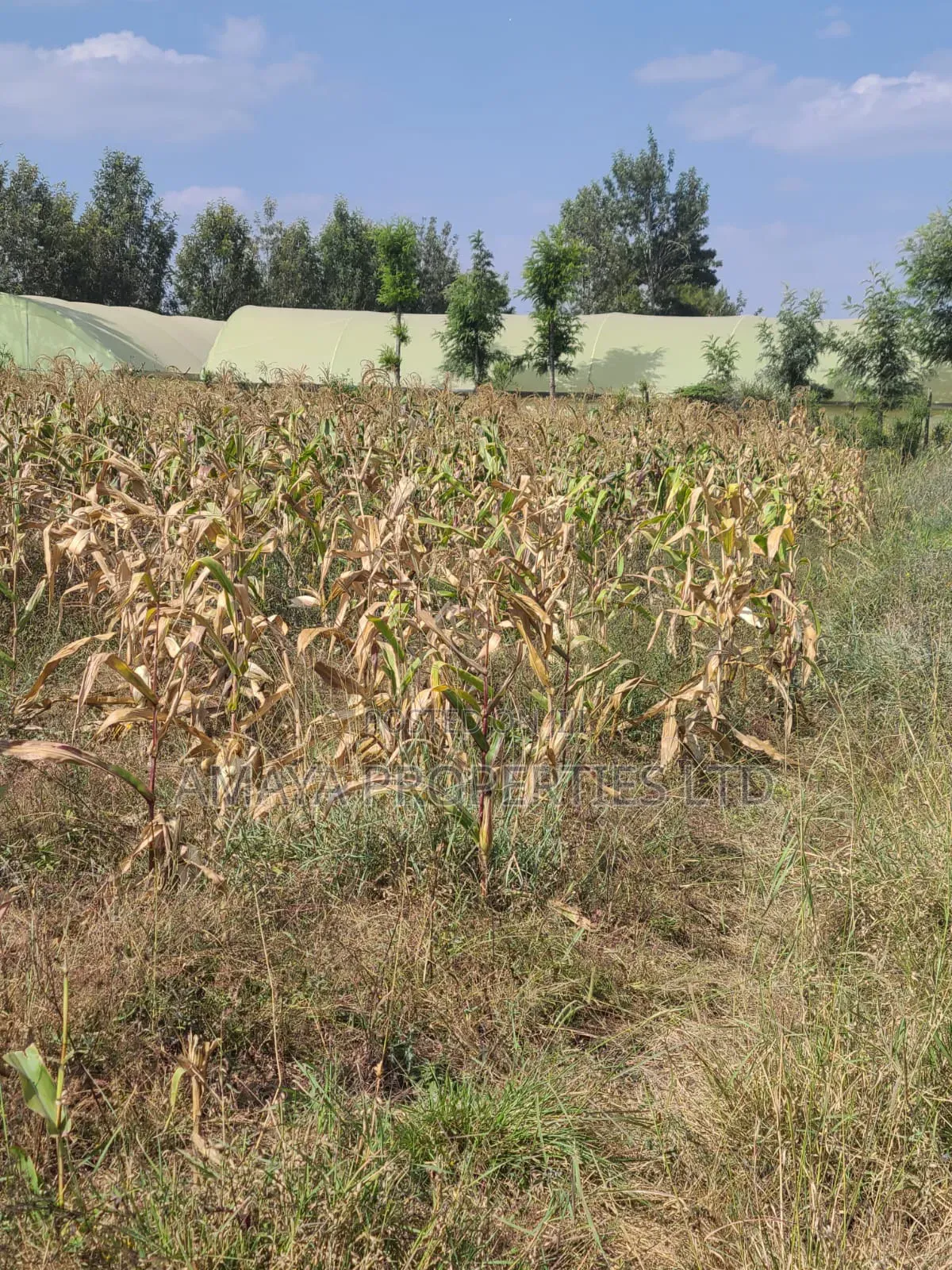 Residential Plots for Sale in Kiserian Along Pipeline Road