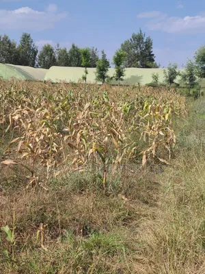 Residential Plots for Sale in Kiserian Along Pipeline Road