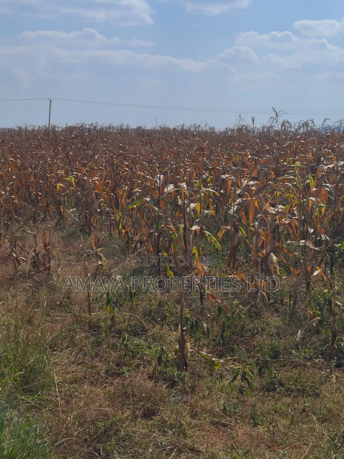Residential Plots for Sale in Kiserian Along Pipeline Road