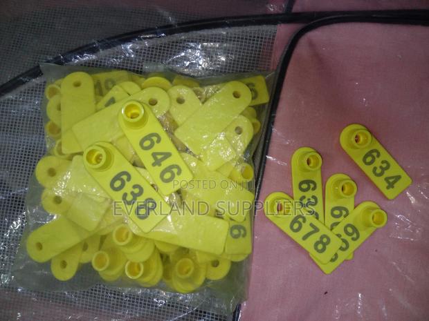 Ear Tags - Visible Number Labels (A Pack) - main view