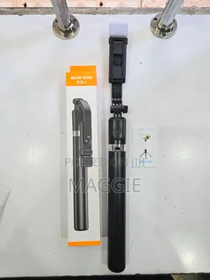 R1s Selfie Stick With Light