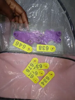 Ear Tags - Bright Pasture Tags (A Pack)
