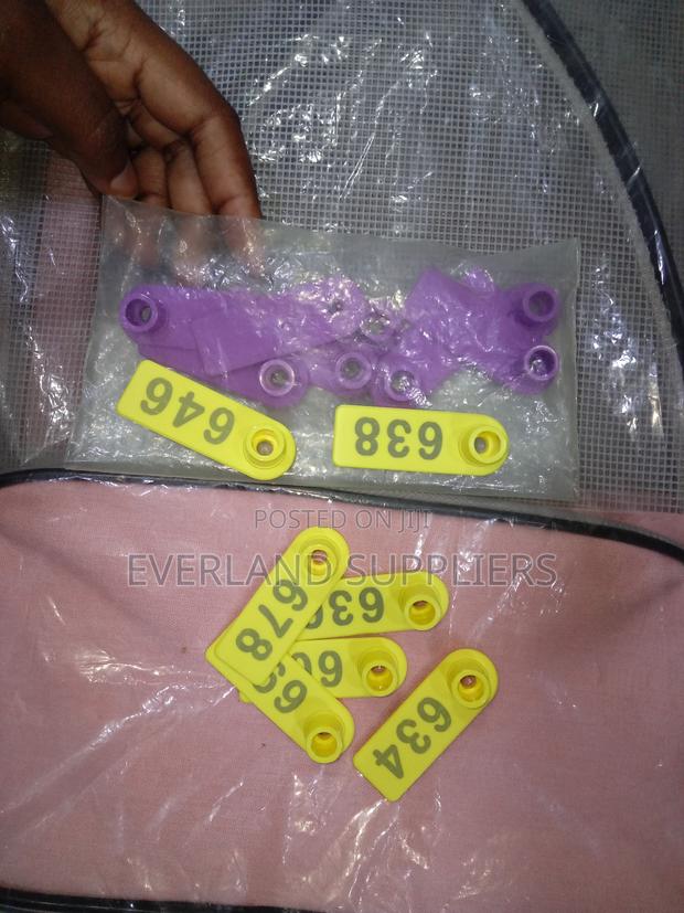 Ear Tags - Bright Pasture Tags (A Pack) - main view