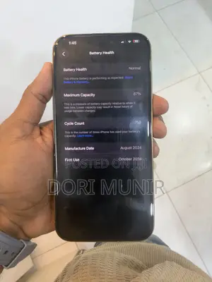 Apple iPhone 16 Pro Max 256 GB Gold