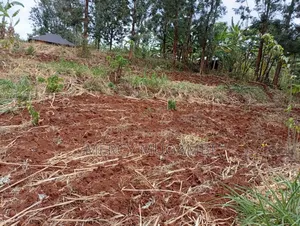 Am Selling a Half an Acre Piece of Land With a Title Deed