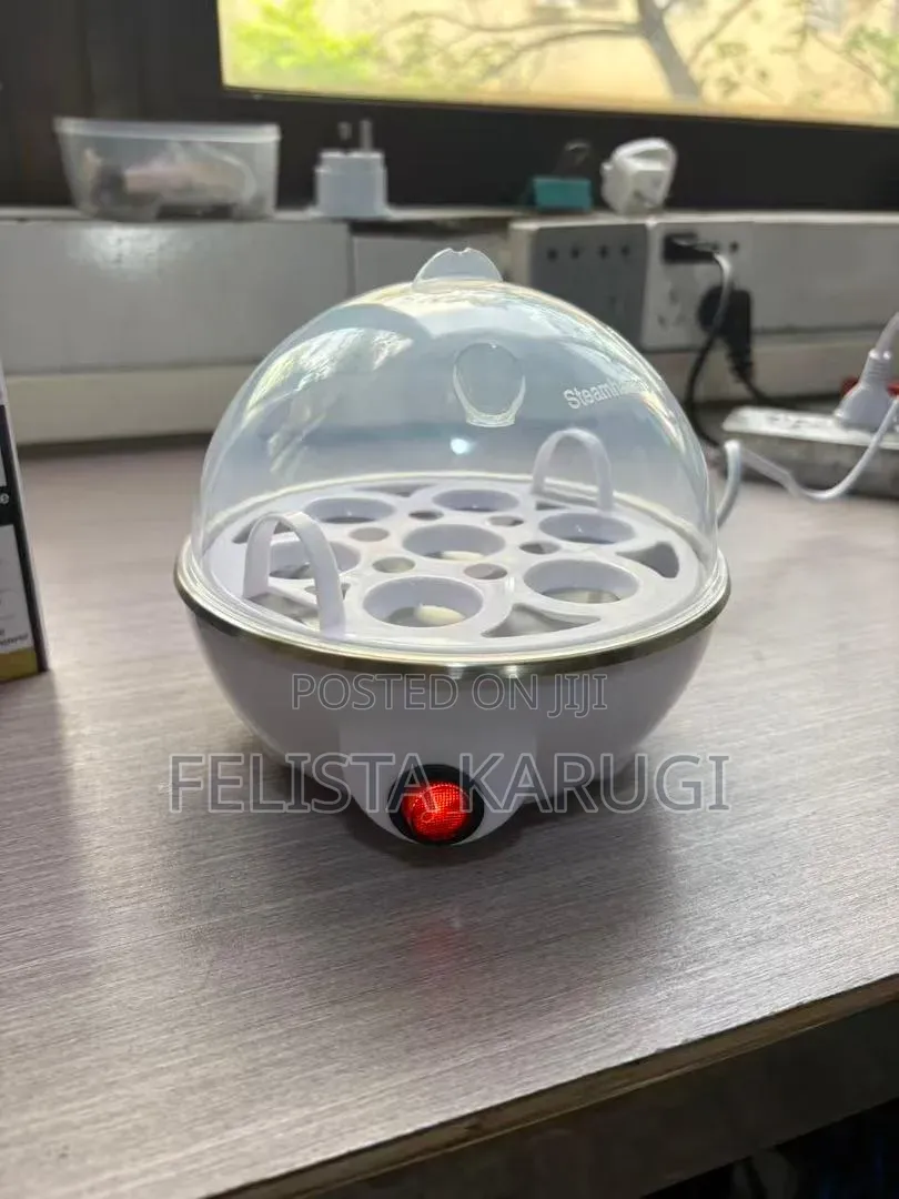 Egg Boiler