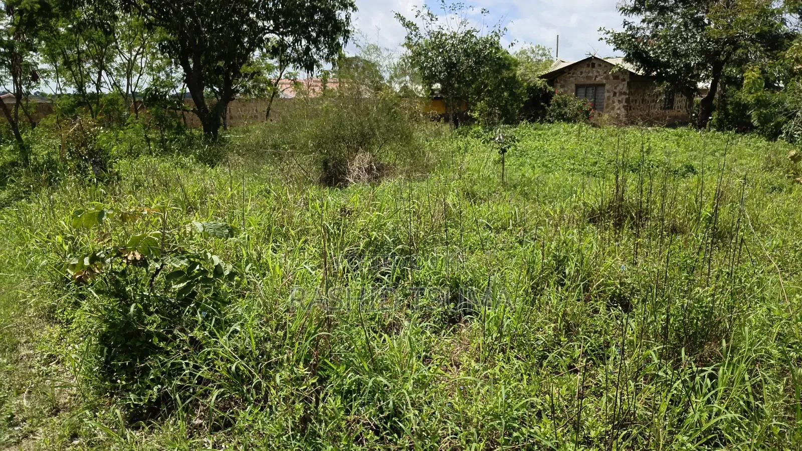 Plot for Sale 50 by 100