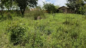 Plot for Sale 50 by 100