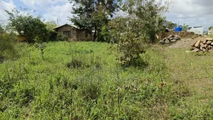 Plot for Sale 50 by 100